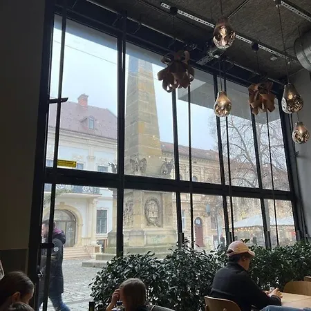 Ultracentral Piata Muzeului Flat Cluj-Napoca