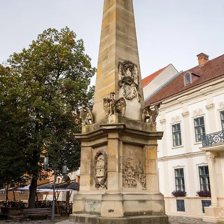 Ultracentral Piata Muzeului Flat Apartment