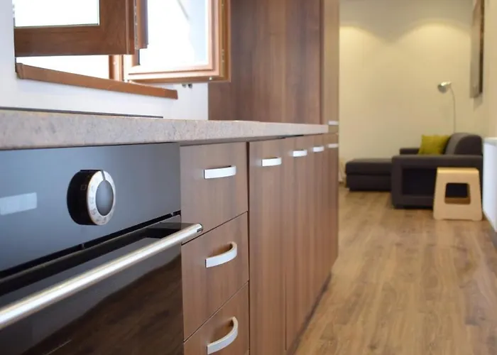 Ultracentral Piata Muzeului Flat Apartment