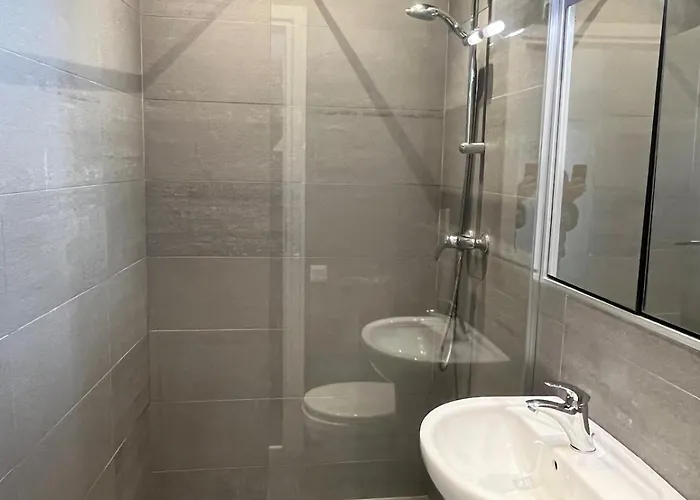 Ultracentral Piata Muzeului Flat Apartment